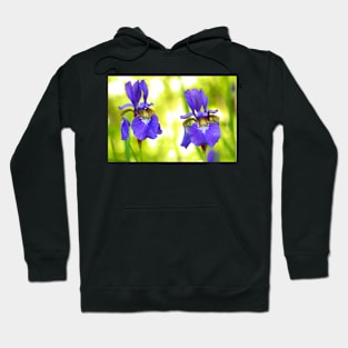 Purple Iris Hoodie